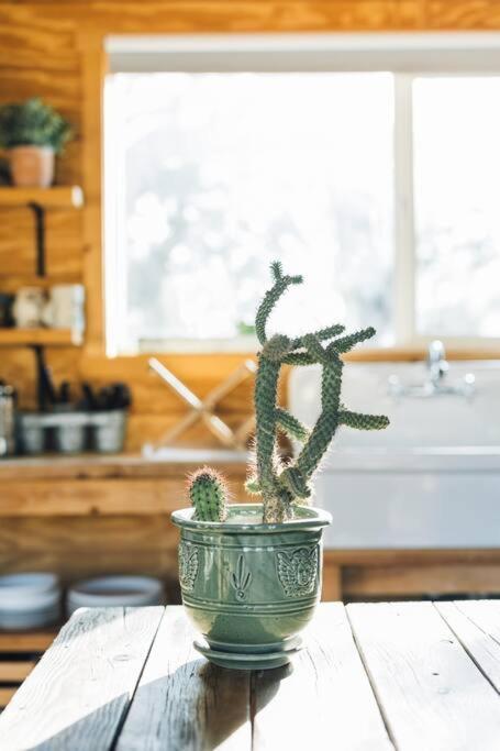 Joshua Tree Hidden Tower * Views - Landmark Yucca Valley Bagian luar foto